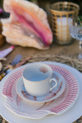 Vintage White and Pink Sea Shell teacup and Saucer.
