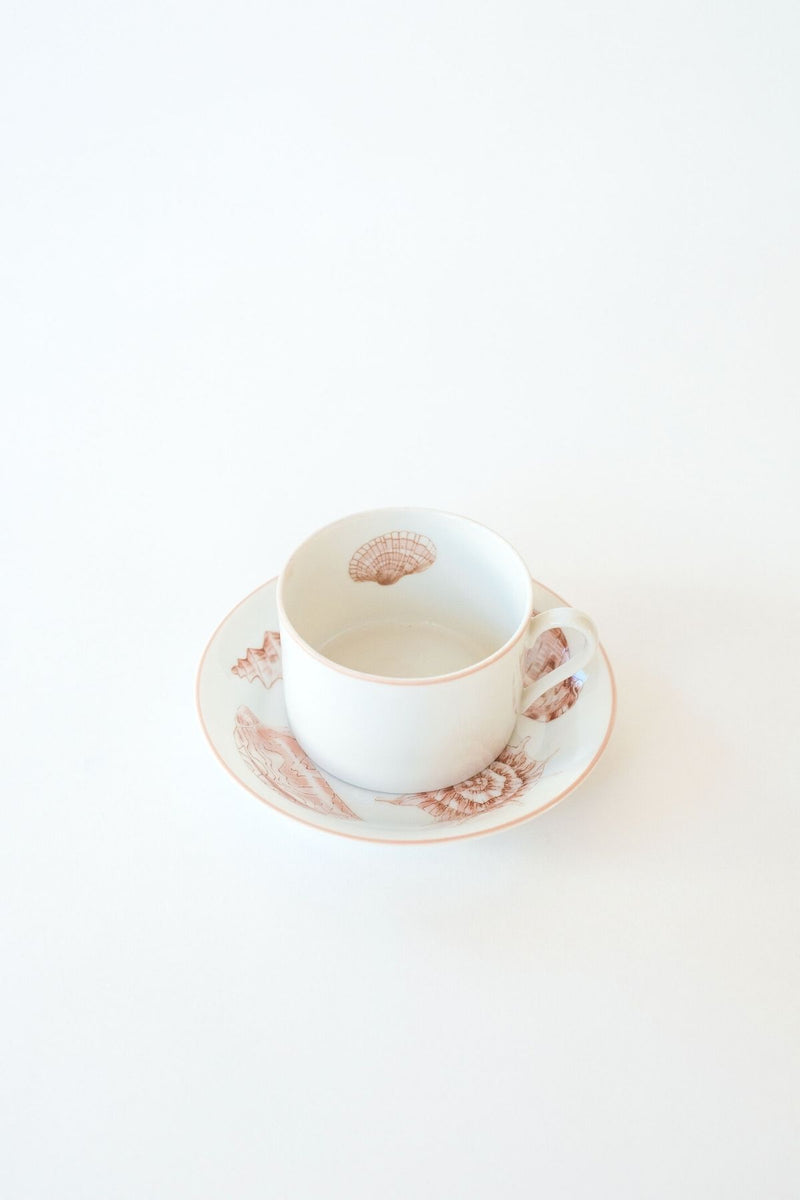 Seashell China Teacup (Set of 5)